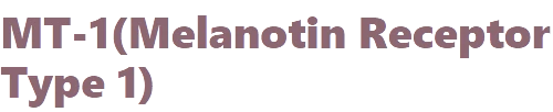 MT1 — Peptide